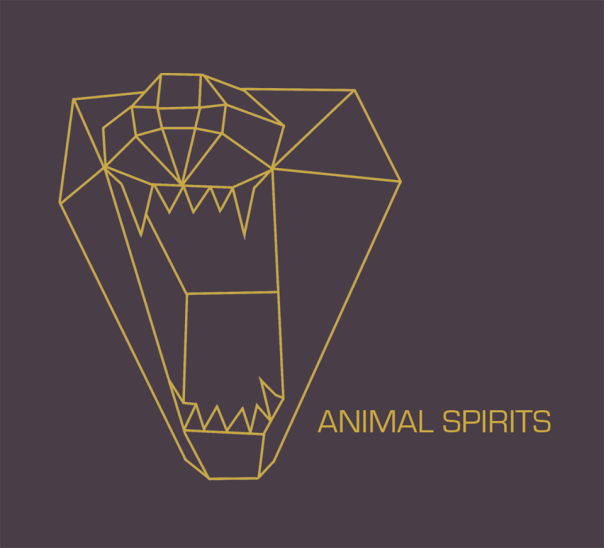 il blogger e il bimbo di favela #stayanimalspirit #finestrasullafavela