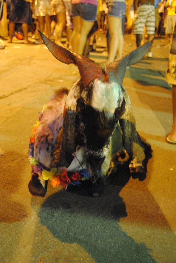 Carnevale favela Rocinha - foto di Rosa Ricucci - #finestrasullafavela