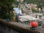 dinosauri ed extraterrestri – fauna nido d’aquila #finestrasullafavela