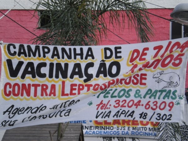 Leptospirosi topi favela rocinha