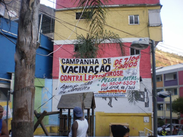 Leptospirosi ropi favela rocinha