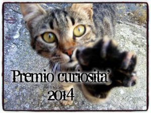 curiosità, gatto, catena, premio curiosità 2014