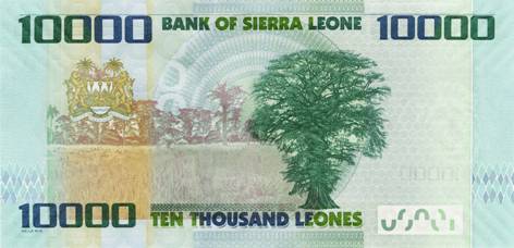 cotton tree sierra leone