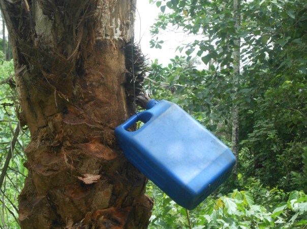 distributore automatico di bevande (002)