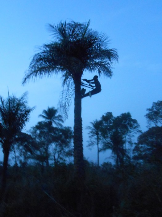distributore automatico di bevande (003)
