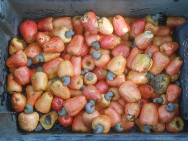 Distributore automatico di bevande