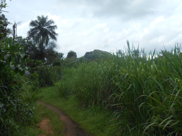 Cristo si è fermato a Ebola