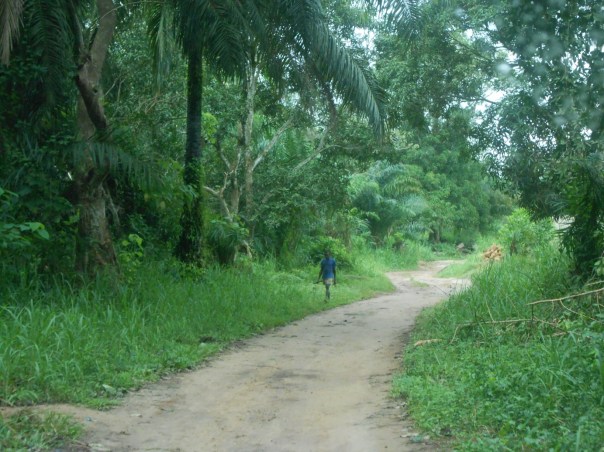 Cristo si è fermato a Ebola Cristo si è fermato a Ebola