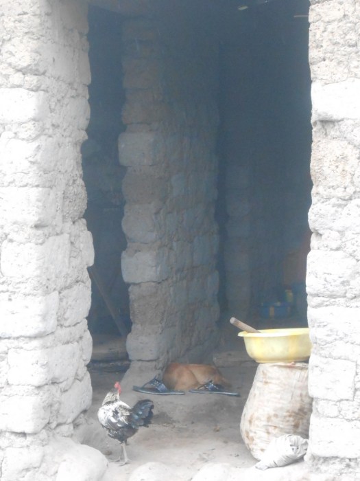 Cristo si è fermato a Ebola Cristo si è fermato a Ebola