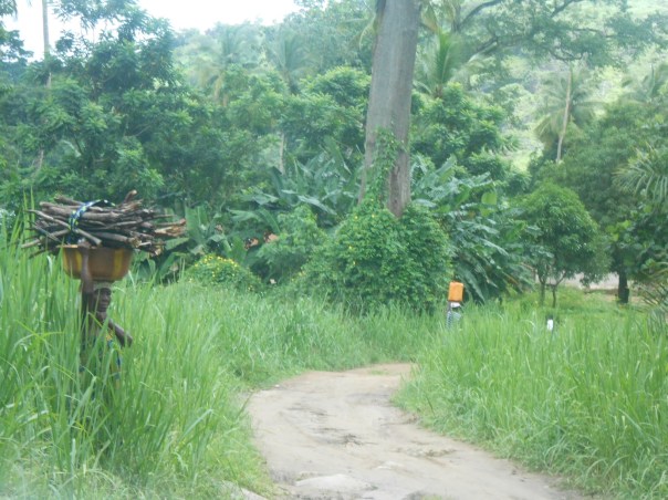 Cristo si è fermato a Ebola Cristo si è fermato a Ebola