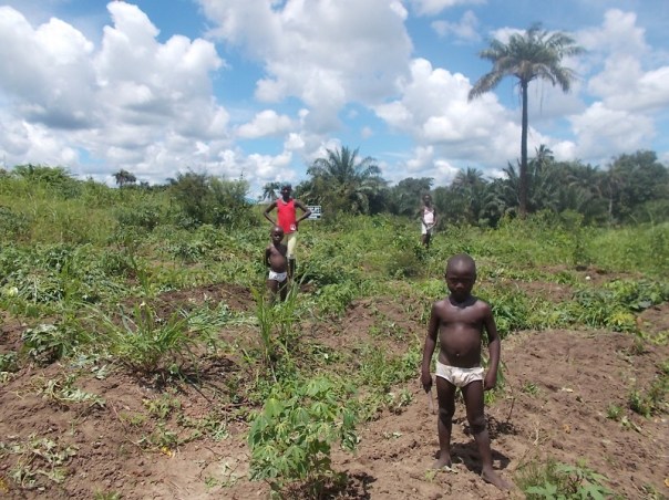Mende Temne Loko Krio e gli altri