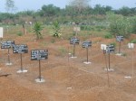 Rogbom Ebola cemetery – foto di Andrea Polo Un ricercatore in&nbsp;favela