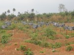 Rogbom Ebola cemetery – foto di Andrea Polo Un ricercatore in&nbsp;favela