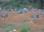 Rogbom Ebola cemetery – foto di Andrea Polo Un ricercatore in&nbsp;favela