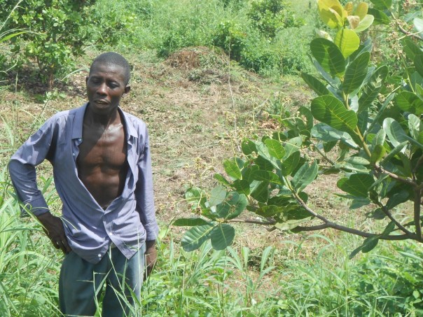 Operazione trasparenza in via della povertà