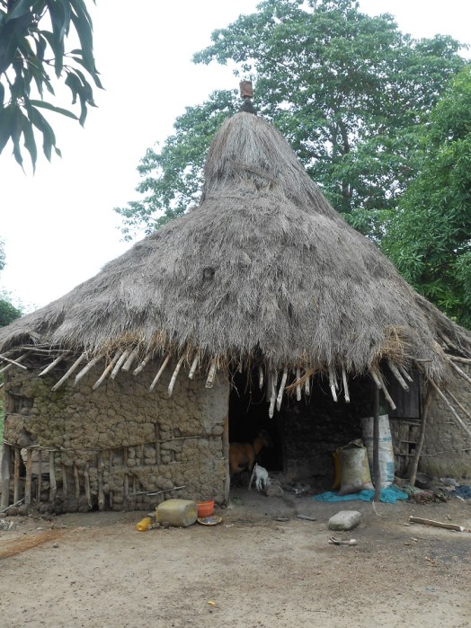 Il ragazzo di campagna e il ragazzo di città