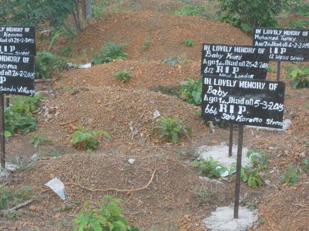 Il ragazzo di campagna e il ragazzo di città