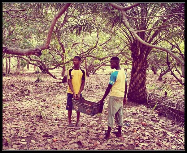 Un cuore per la Sierra Leone