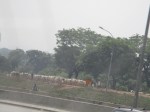 da abuja a potiskum (nigeria del&nbsp;nord)
