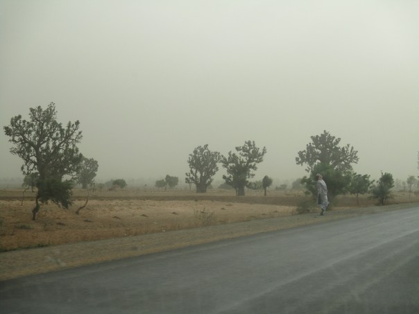 passeggiando sulla luna