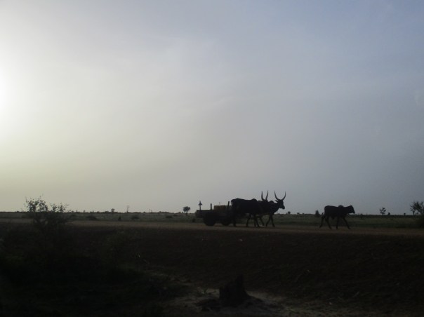 Passaggio a Borno, nordest Nigeria