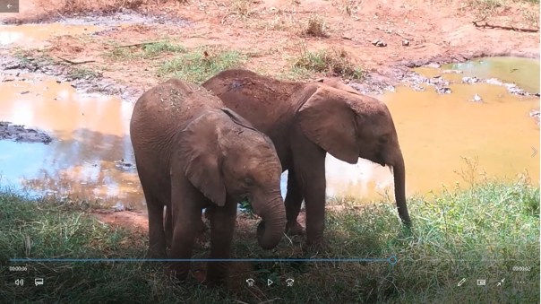 Video Nuvole Zambia Finestra su longacres lusaka elefanti