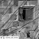 favela rocinha, credits Diego&nbsp;Cardoso